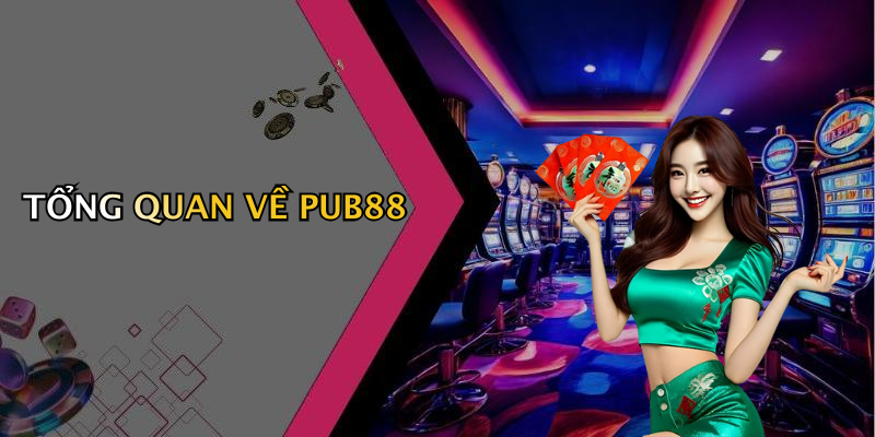 TỔNG QUAN VỀ PUB88