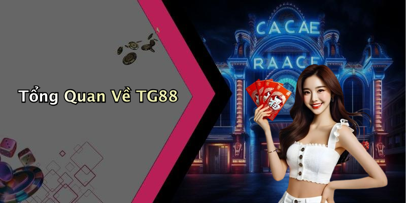Tổng Quan Về TG88