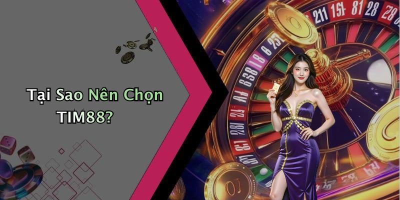 Tại Sao Nên Chọn TIM88?